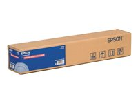 Epson Premium Glossy Photo Paper (170) - Blank - Rull (41,9 cm x 30,5 cm) 1 rull(er) fotopapir - for SureColor P5000, SC-P5000, P7500, P9500, T2100, T3100, T3400, T3405, T5100, T5400, T5405 C13S042076