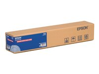 Epson Premium Semimatte Photo Paper (260) - Halvmatt - Rull (40,6 cm x 30,5 m) 1 rull(er) fotopapir - for SureColor P5000, P800, SC-P10000, P20000, P5000, P7500, P900, P9500 C13S042149