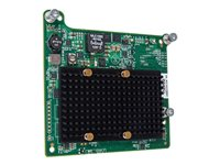 HPE QMH2672 - Vertbussadapter - 16Gb Fibre Channel x 2 - gjenmarkedsført - for ProLiant BL460c Gen8, BL465c Gen8, BL660c Gen8, BL660c Gen8 Performance 710608R-B21