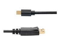 StarTech.com 10ft Mini DisplayPort to DisplayPort Cable - M/M - mDP to DP 1.2 Adapter Cable - Thunderbolt to DP w/ HBR2 Support (MDP2DPMM10) - DisplayPort-kabel - Mini DisplayPort (hann) til DisplayPort (hann) - 3 m - for P/N: CDP2MDPEC, CDP2MDPFC, CDPVDHDMDP2G, CDPVDHDMDPRG, CDPVDHDMDPSG, CDPVDHMDPDP MDP2DPMM10