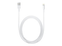 Apple - Lightning-kabel - Lightning hann til USB hann - 2 m MD819ZM/A