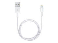 Apple - Lightning-kabel - Lightning hann til USB hann - 50 cm ME291ZM/A