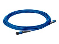 HPE Premier Flex - Nettverkskabel - MPO-multimodus (hann) til MPO-multimodus (hann) - 10 m - fiberoptisk - 50 / 125 mikroner - OM4 - for HPE SN3600B 32, SN6000; StoreFabric SN3600, SN6600B 32, SN6610, SN6650, SN8600B 4-slot QK729A