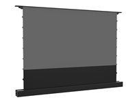 Multibrackets M - Projeksjonsskjerm med gulvstativ - LS, elektrisk, stigende, RS232 - fritt stående - motorisert - 100" (254 cm) - 16:9 - ALR UST - svart 7350105218613