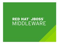 JBoss Data Grid - Standardabonnement (1 år) - 64 kjerner MCT3141