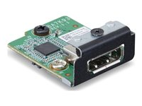 Lenovo - DisplayPort-utvidelseskort - med BTB-kontakt - grønn 4XH1K25075