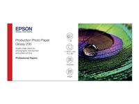 Epson Production - Polyetylen (PE) - blank - mikroporøs - 200 mikroner - Rull (111,8 cm x 30 m) - 200 g/m² - 1 rull(er) fotopapir - for Stylus Pro 9890; SureColor P10000, P20000, SC-P10000, P20000, P8000, P9000, P9500, T7200 C13S450373