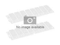 Cisco - DDR2 - modul - 4 GB - DIMM 240-pin svært lav profil - for Services Ready Engine 900 SM SM-MEM-VLP-4GB=