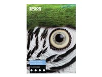 Epson Fine Art - Bomull - glatt - 490 mikroner - naturlig - A3 Plus (329 x 483 mm) - 300 g/m² - 25 ark klutepapir - for SureColor SC-P20000, P600, P6000, P700, P7000, P800, P8000, P900, P9000 C13S450268